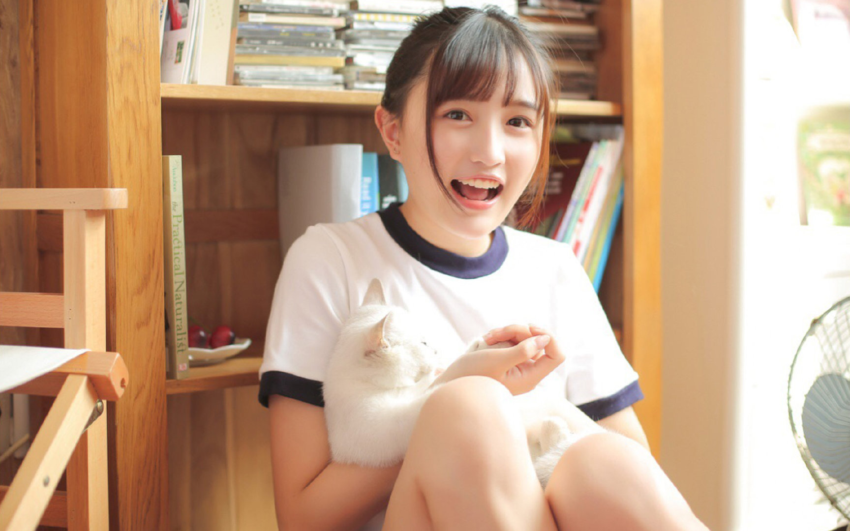 绿白风暴席卷北境，贝蒂斯式铁血击溃苏格兰，哈兰德季后赛抢七的终极接管艺术