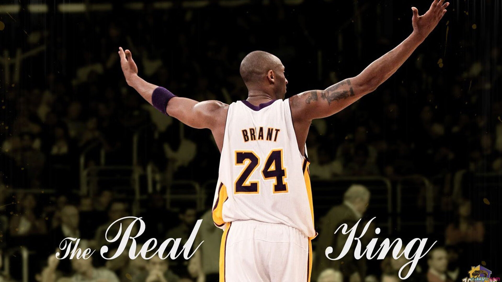 奥运周期关键战，莱奥接管比赛，比利时拿下土耳其背后的战术革命